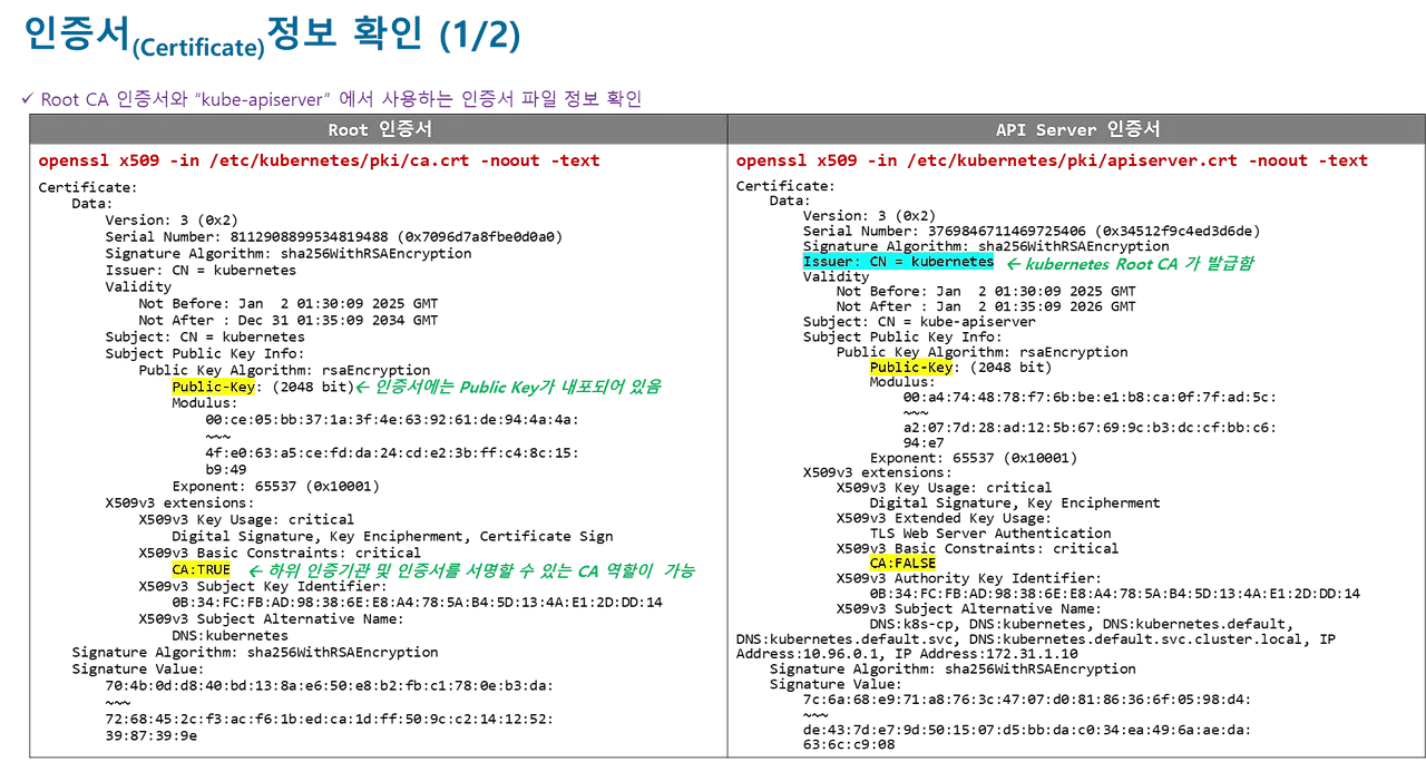 Root CA와 API Server 인증서 비교